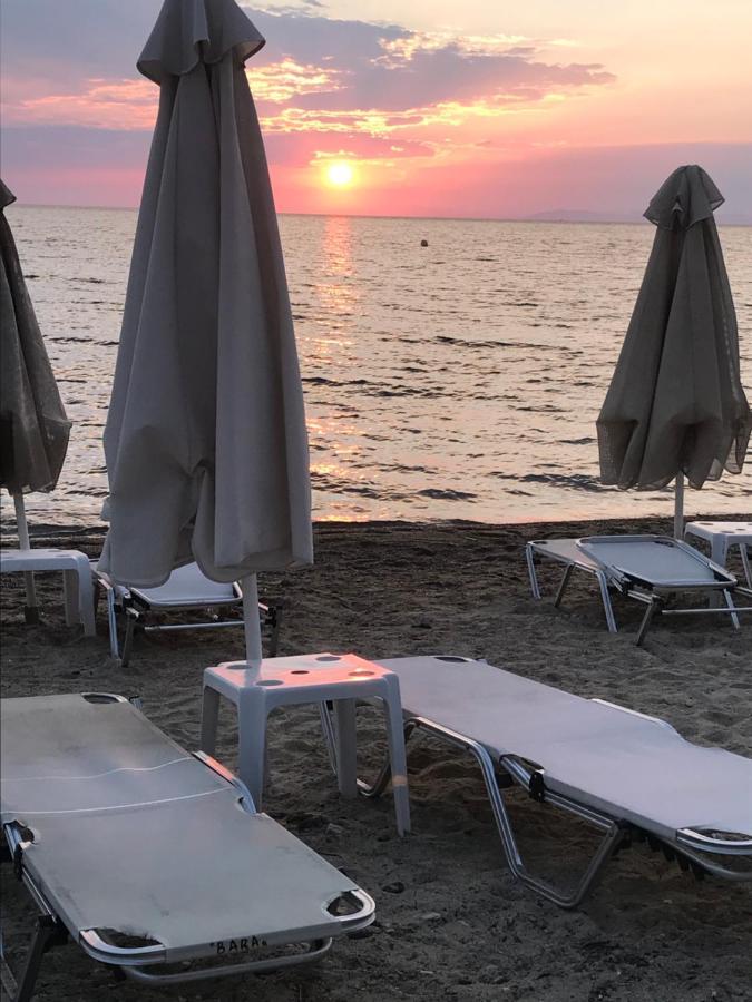 Hotel Bara Neos Marmaras Dış mekan fotoğraf